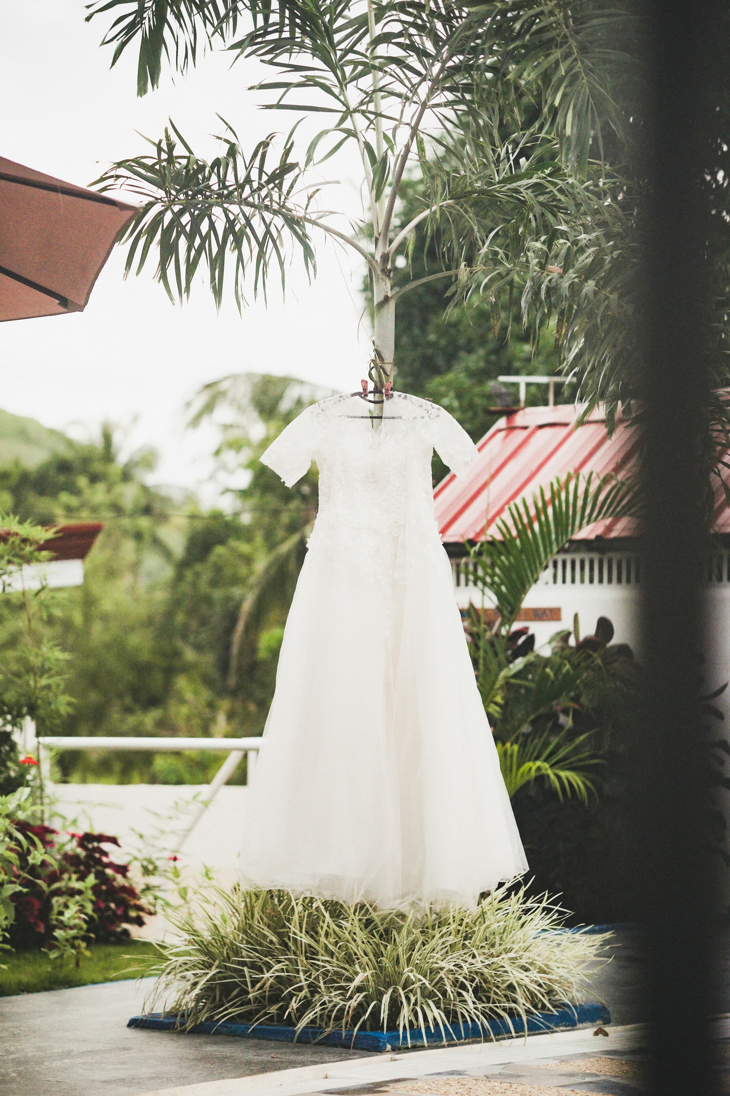 Wedding dress on hanger in tropical area surrounded by palms