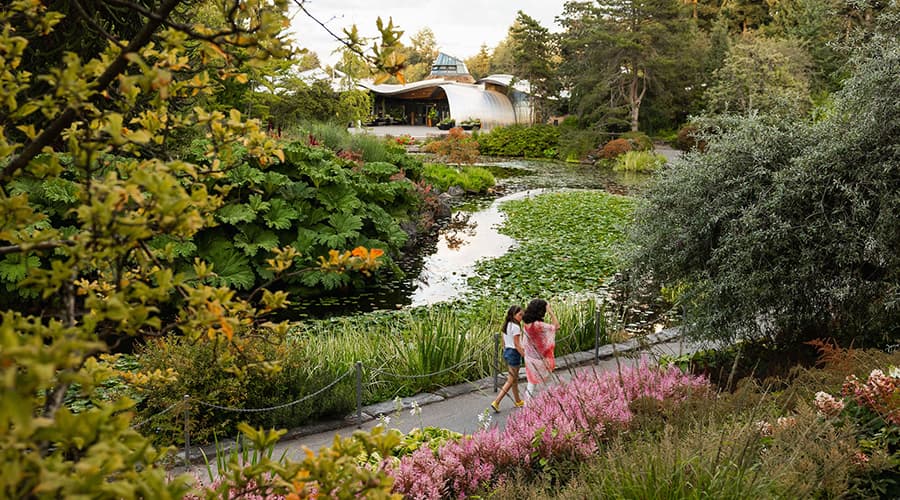 VanDusen Botanical Garden photo 5