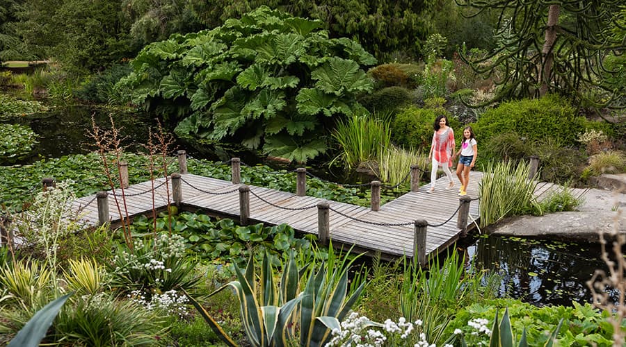 VanDusen Botanical Garden photo 3