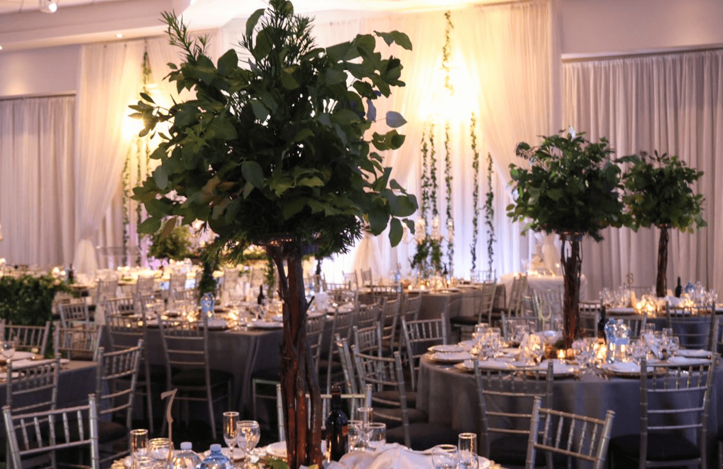 La Primavera Event Space photo 8