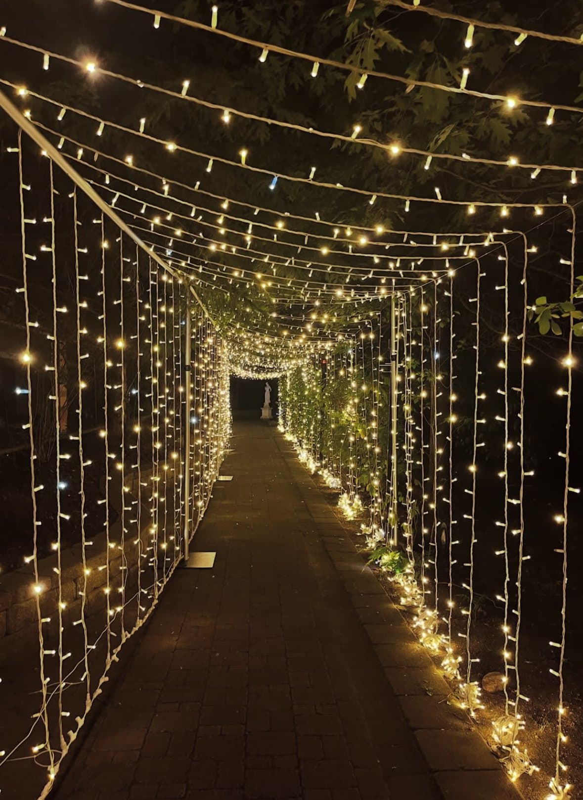 La Primavera Event Space photo 4