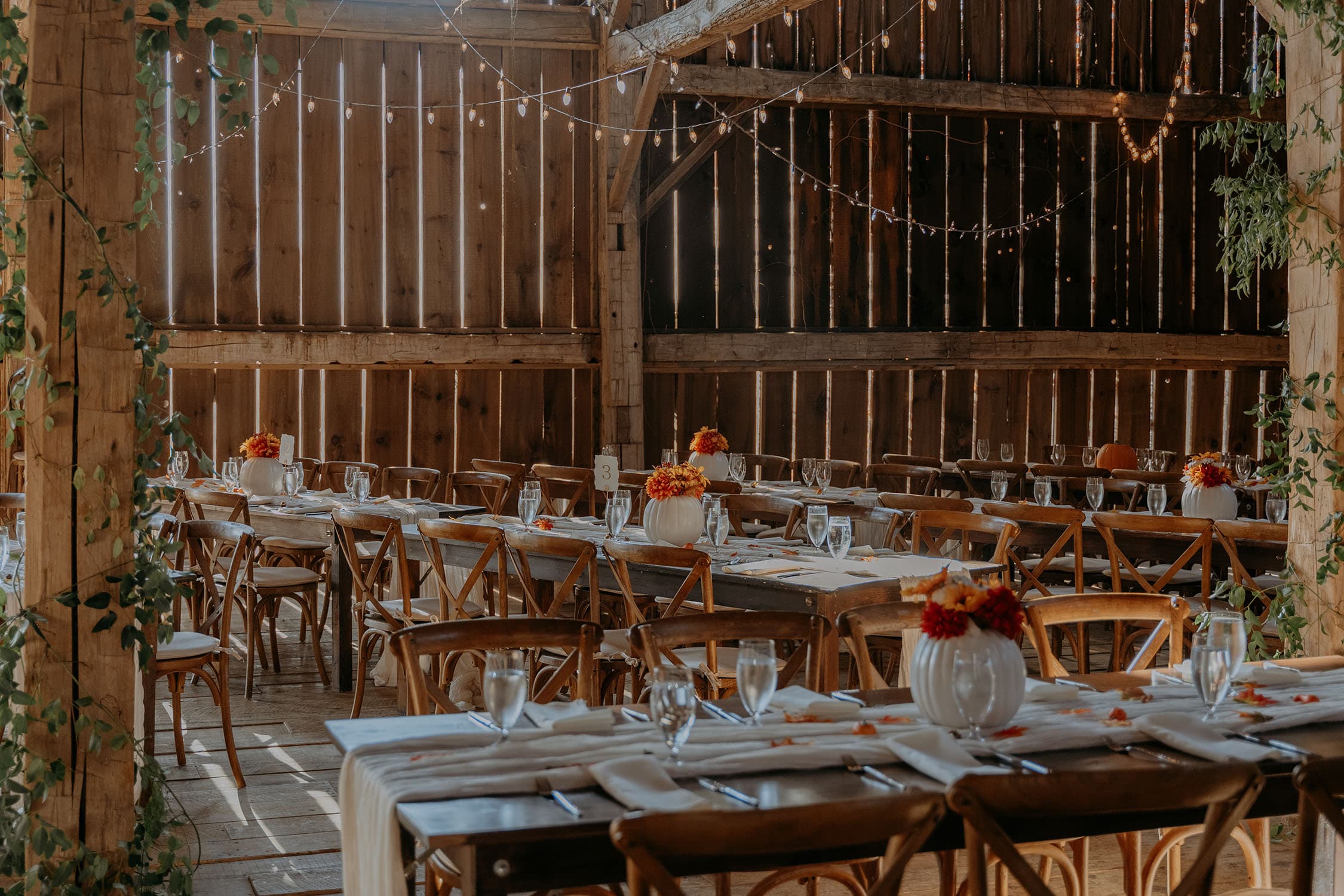 Cambium Farms photo 2